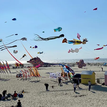 Chez Lucie Et Compagnie Pavillon Familial Avec Beau Jardin Vron